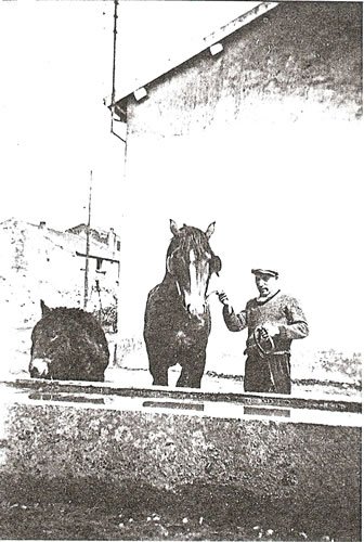 Chevaux à la fontaine - Photos d'autrefois à Silly-sur-Nied