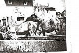 Chevaux &agrave; la fontaine - Photos d'autrefois &agrave; Silly-sur-Nied