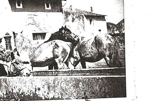 Chevaux à la fontaine - Photos d'autrefois à Silly-sur-Nied