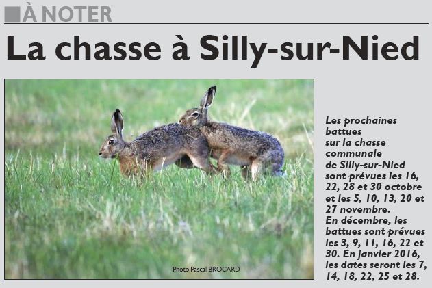 RL 2015 09 26 Chasse a Silly