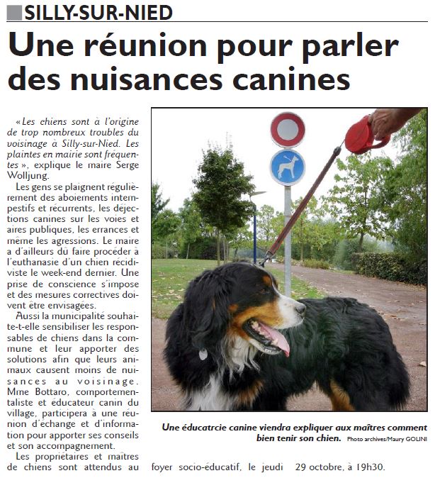 RL 2015 10 26 Reunion nuisances canines