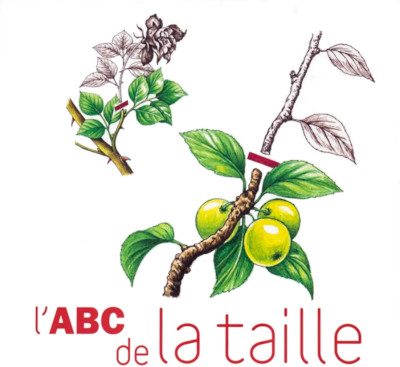 Budget avenir